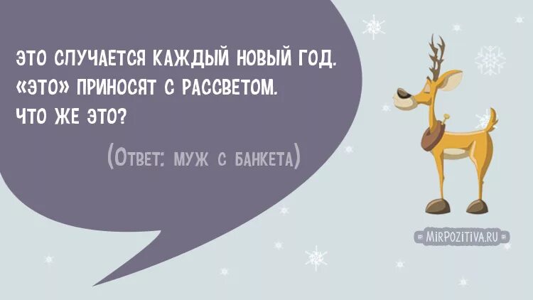Смешные загадки на новый год. Новогодниизагадки с подвохом. загадки на новый год с подвохом. загадки для взрослых на новый год. загадки про новый год с ответами с подвохом.