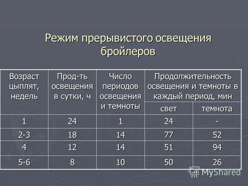 Световой режим содержания цыплят бройлеров. Таблица подсветки бройлеров. Режим освещения для бройлеров Росс 308. Световой режим для цыплят Росс 308.