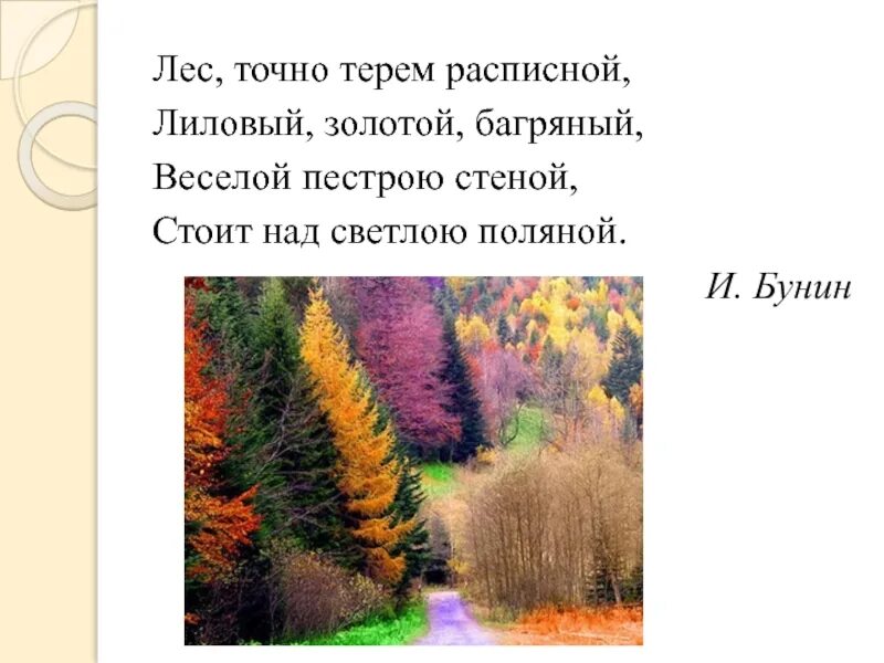 Веселой пестрою стеной. Лес точно Терем расписной лиловый золотой багряный. Бунин ...лес....лиловый золотой. Бунин лес багряный золотой. Бунин стихотворение лес точно Терем.