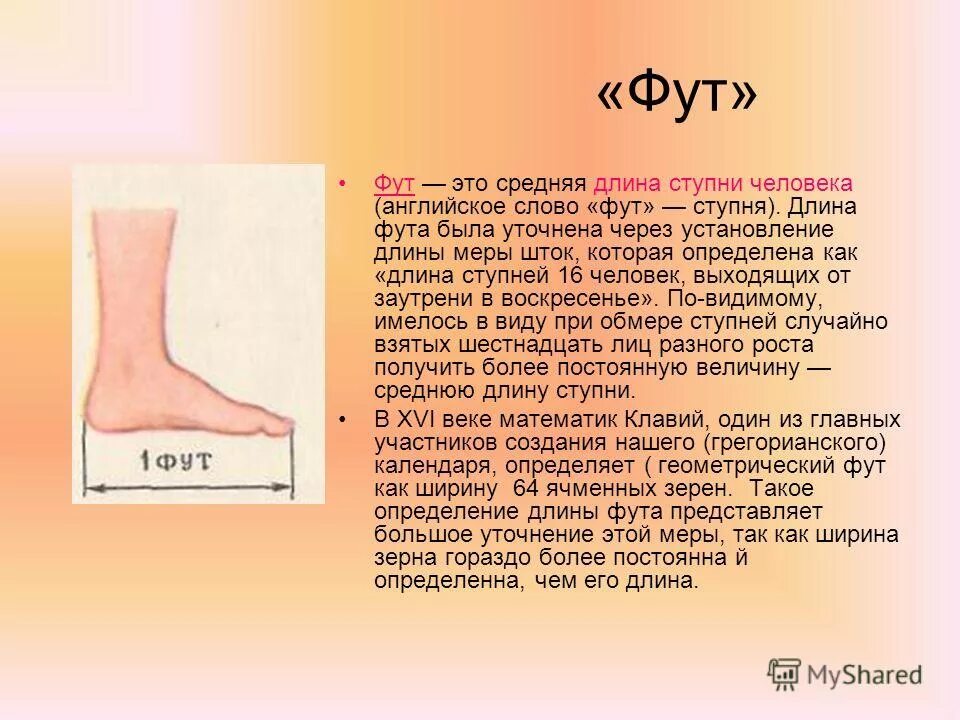 1 фут это сколько кг