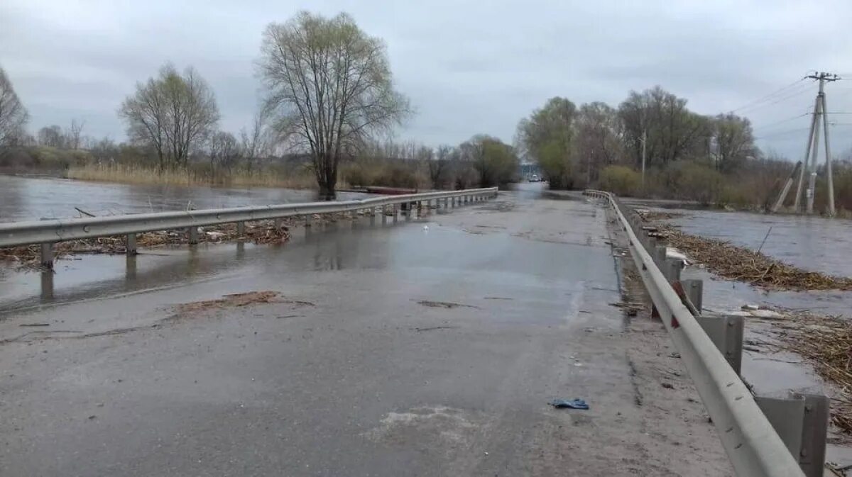 Ступинский мост Рамонский район. Река Воронеж Рамонь. Рамонский мост через реку Воронеж. Ступино Воронежская область мост.