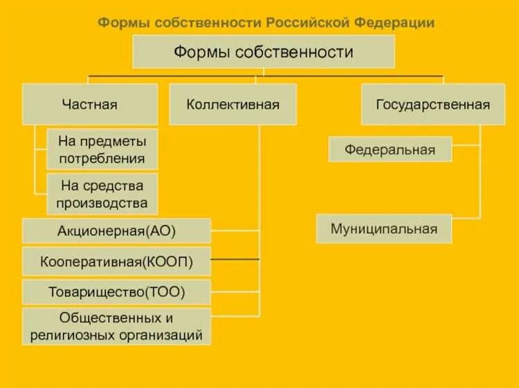 Собственность организации это