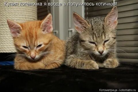 Вроде получилось