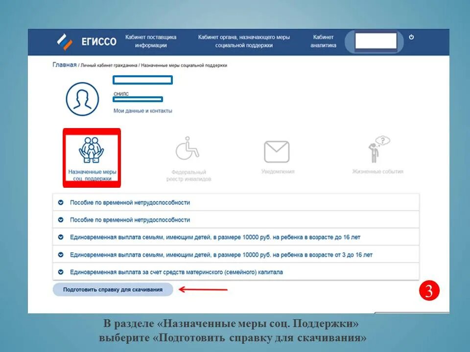 ЕГИССО личный кабинет. Портал ЕГИССО. ЕГИССО госуслуги. Меры социальной поддержки госуслуги. Сайт pfr gov ru