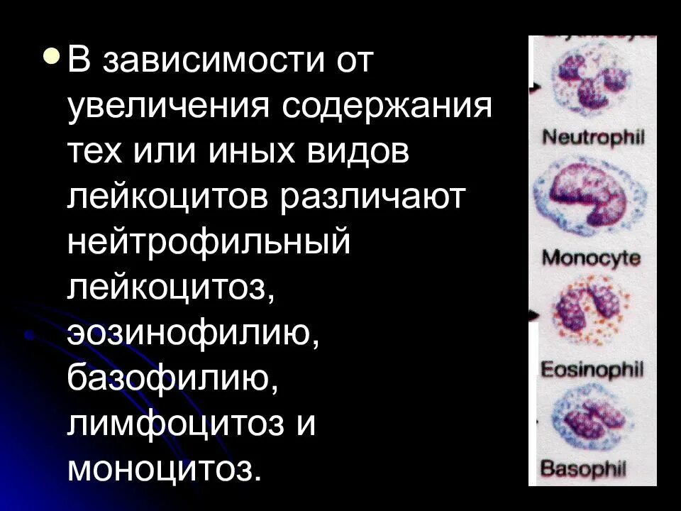 Нейтрофильный лейкоцитоз. Типы нейтрофильных лейкоцитозов.. Нейтрофильный лейкоцитоз патофизиология. Типы нейтрофильных лейкоцитов. Лейкоцитоз нейтрофилы