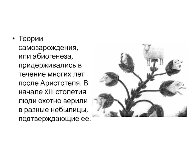 Происхождение жизни самозарождение. Абиогенез теория зарождения жизни. Гипотеза самозарождения жизни. Гипотеза абиогенеза. Теория самозарождения.