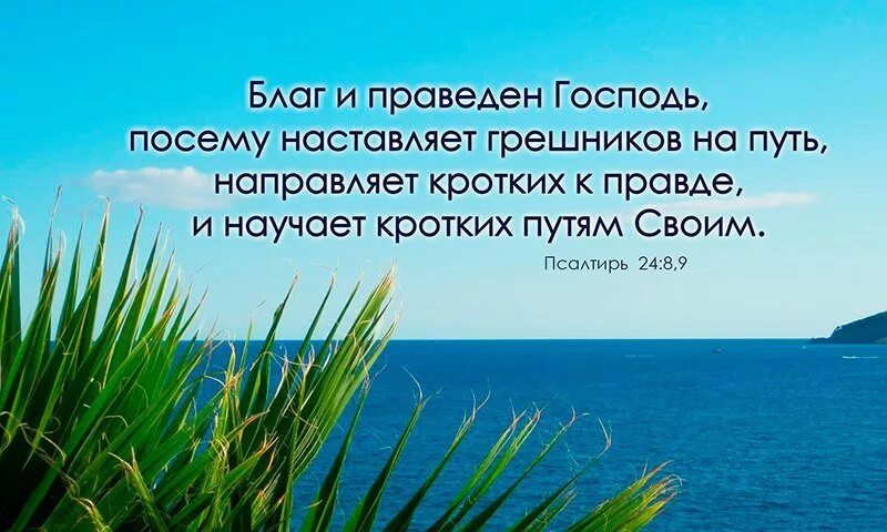 Путь грешников. Благ и праведен Господь. "Направляет кротких к правде и научает кротких путям своим" (ПС. 24:9).. Взывают праведные и Господь. Господи вразуми и направь на путь истинный.