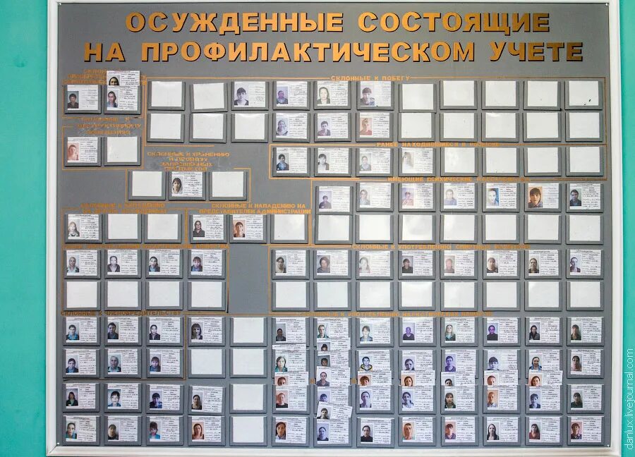 Порядок постановки осужденных на профилактический учет. Учет осужденных. Виды профилактического учета осужденных. Тюрьмы и места заключения книга. 72 приказ фсин профилактический учет.