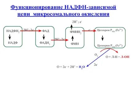 Система окисления