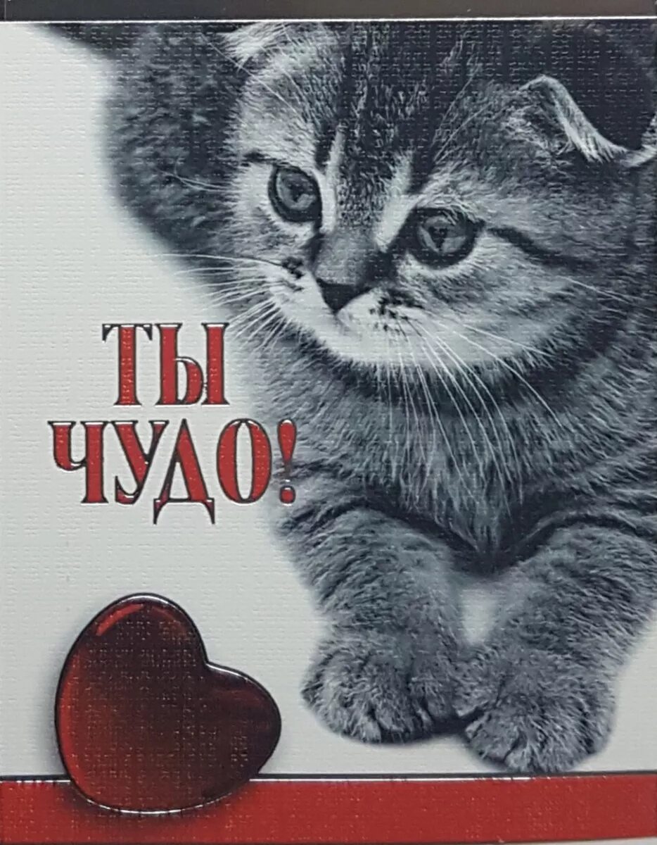 Чудо б. Ты чудо. надпись ты чудо. открытка &quot;чудо - это ты&quot;. ты мое чудо.