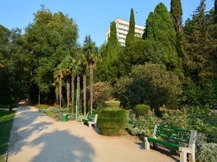 Отзывы курорта крыма