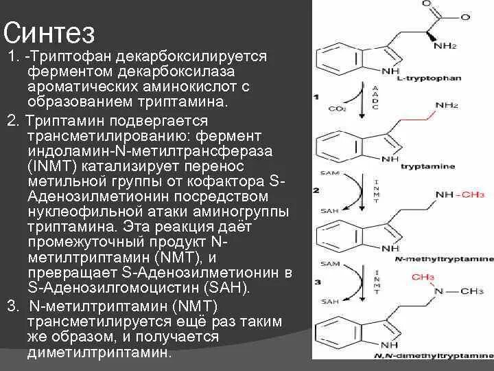Синтезировать ошибку. Синтезировать ошибку
