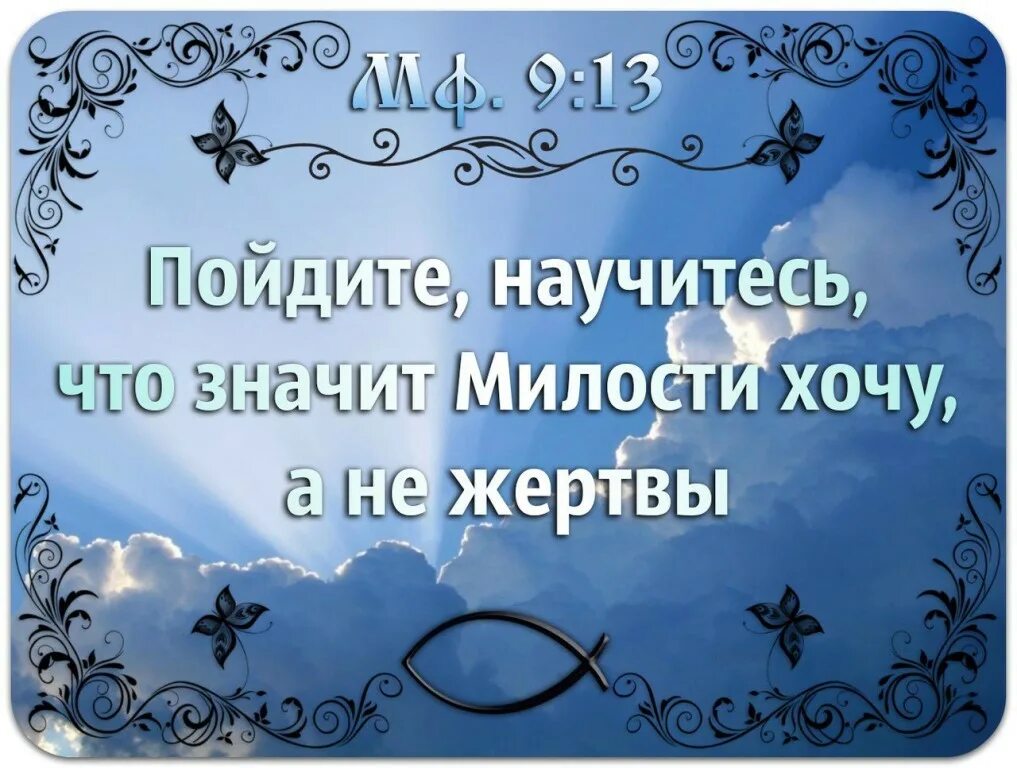 Книга любящей бога