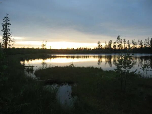 Бурино. Озеро Кщара Владимирская область. Озеро Фролищи Нижегородская область вид сверху. Ильино озеро. Озеро Бурино Челябинская область.