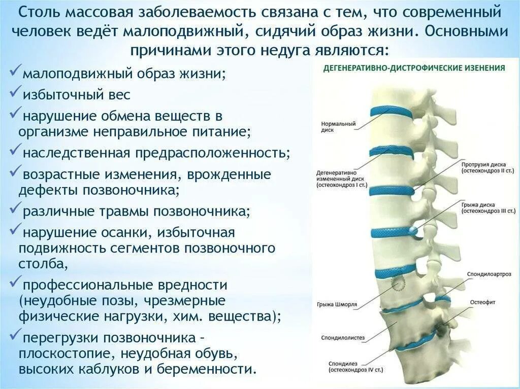 Диагноз грыжа диска. Остеохондроз шейного отдела позвоночника с3-с7. протрузия диска с3 с4 шейного отдела позвоночника. остеохондроз отдела позвоночника грудного отделы. поясничный остеохондроз l1 l2 периоды.