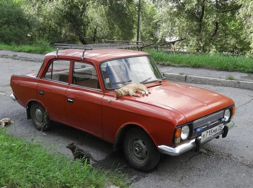 Москвич 2140 красный. Москвич 24. Ижанит. Авито ставропольский край москвичи. Москвич комби красный колхозный.