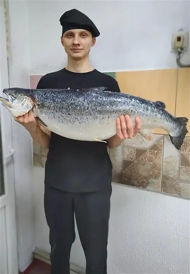 Знатная рыба. Знатная рыба