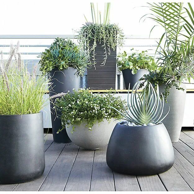 Large Grey Ball Planter Crate and Barrel Vasi da giardino, Idee di giardinaggio,