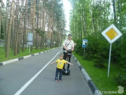 Парк елочки 1 июня 2024