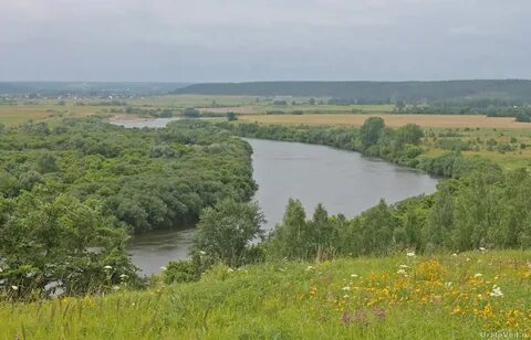 Кунгур поля
