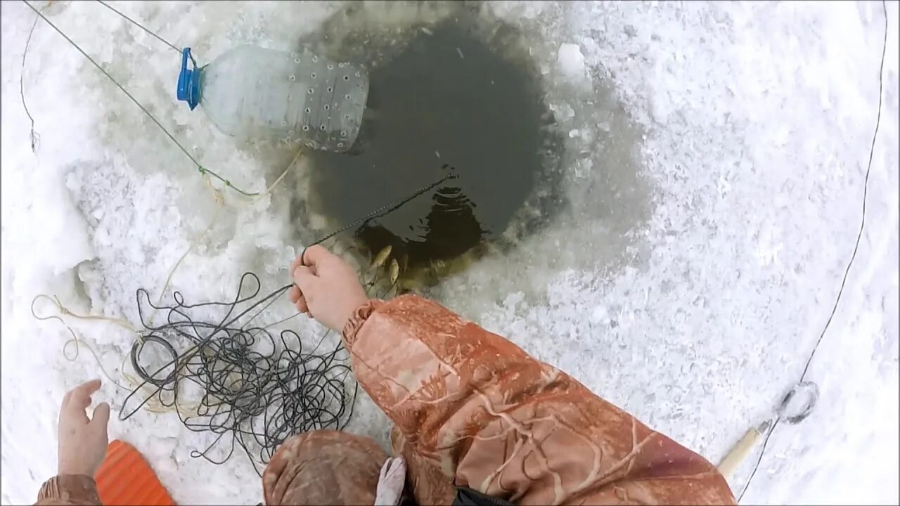 Перемет под лед. Перемет на налима зимой. зимний перемет. перемет на налима.