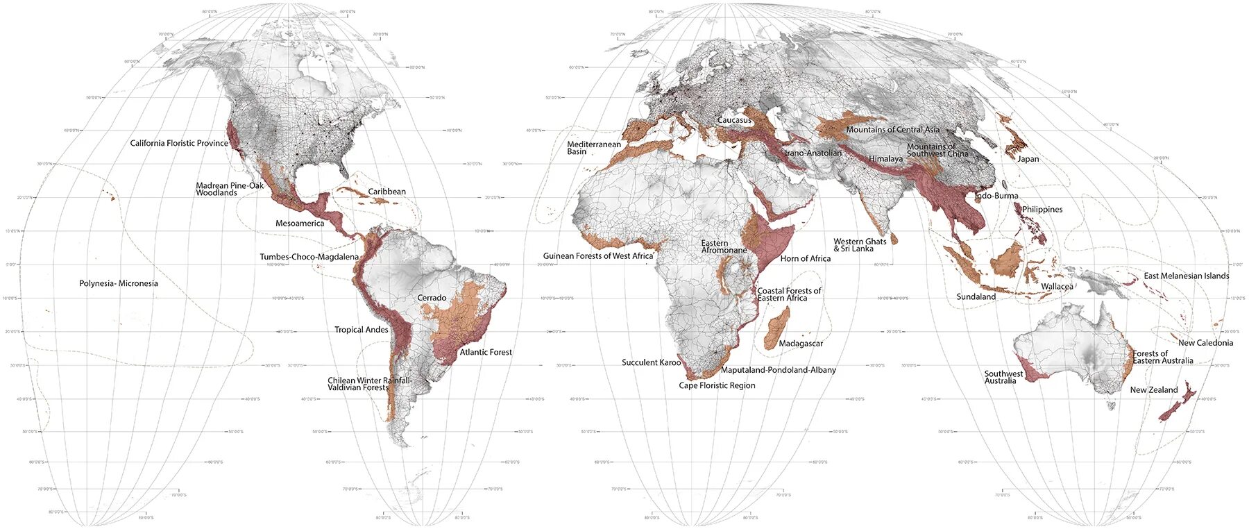 Type map. Biodiversity hotspots. biodiversity hotspots map. floristic regions of the world книга. map of biological laboratories in the world.