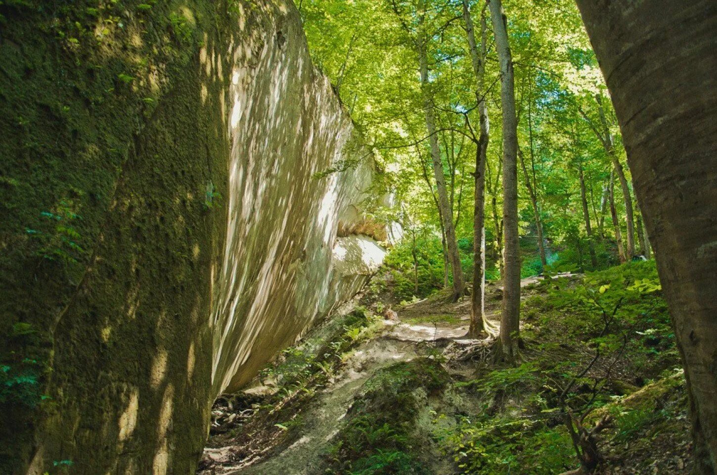 Горячий ключ природа. Горячий ключ зеркальная скала. Скала зеркало горячий ключ. Горячий ключ природа достопримечательности. Скала зеркало горячий ключ фото.