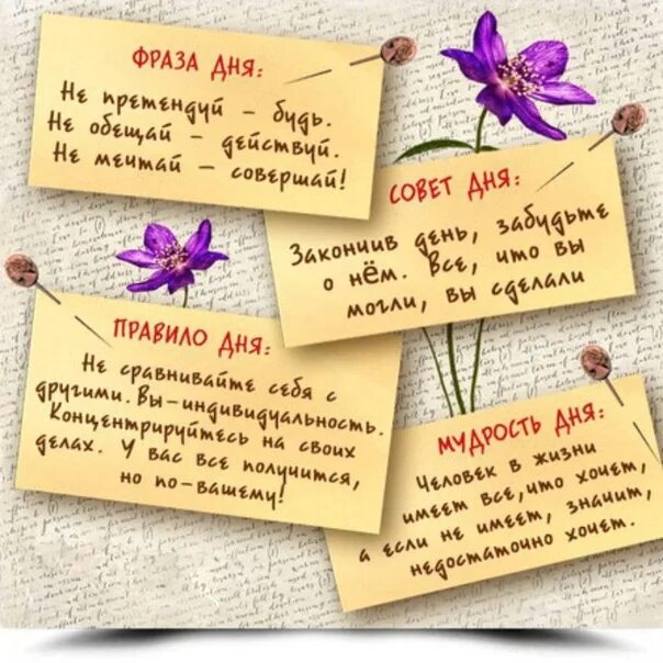 Фразы и выражения