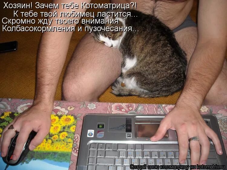 брежнев леонид. цитаты из советских мультиков. смешные коты не знаю. колбаса прикол. ну как нам не хватало.