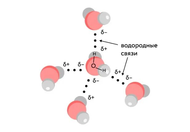 Метан водородная связь. Водородные связи в молекуле воды. Водородная связь между молекулами воды. Атомы в молекуле воды соединены водородными связями. Соединение водородных связей в полимерах.