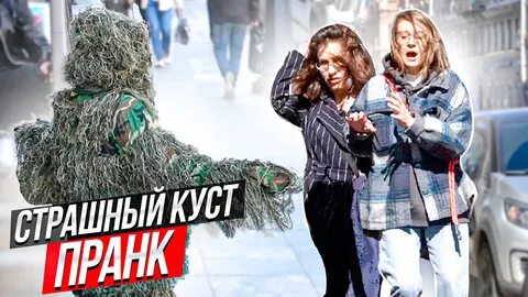 Приколы пугающие кусты