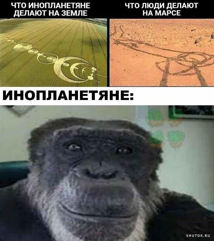 Meme 2023. Мемі 2023. Современные мемы. Мем 2023. Лучшие мемы.