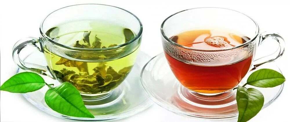 Черный и зеленый чай. Чой зеленний. Napitki Чой.