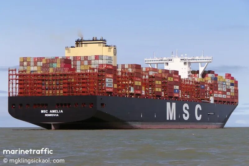 Msc 18. Msc amelia. msc tessa контейнеровоз. msc julia r. msc sheila.