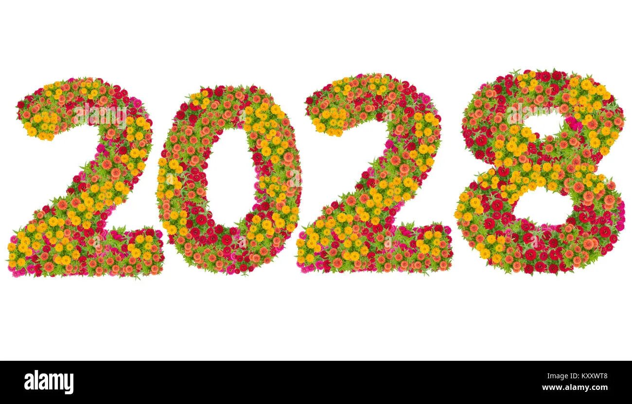Число 2028. 2028г. цифры 2026.