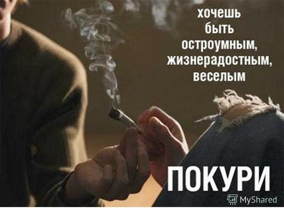 Пошли курить. Предложение покурить. Смешные высказывания про сигареты. Смешные фразы курящих. Хочешь покурить покури слушать