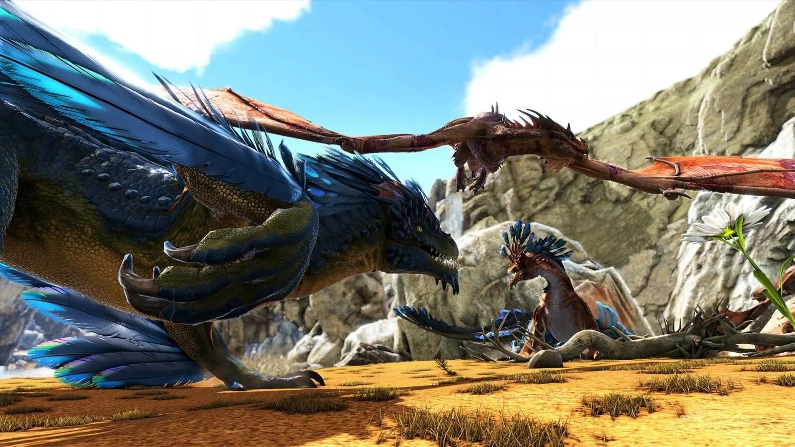 Ark up