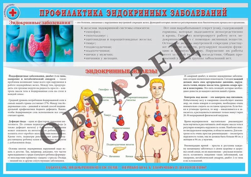 Эндокринология 2023. Санбюллетень профилактика эндокринных заболеваний. Профилактика заболеваний щитовидной железы санбюллетень. Профилактика заболеваний эндокринной системы. Профилактика заболеваний желез внутренней секреции.