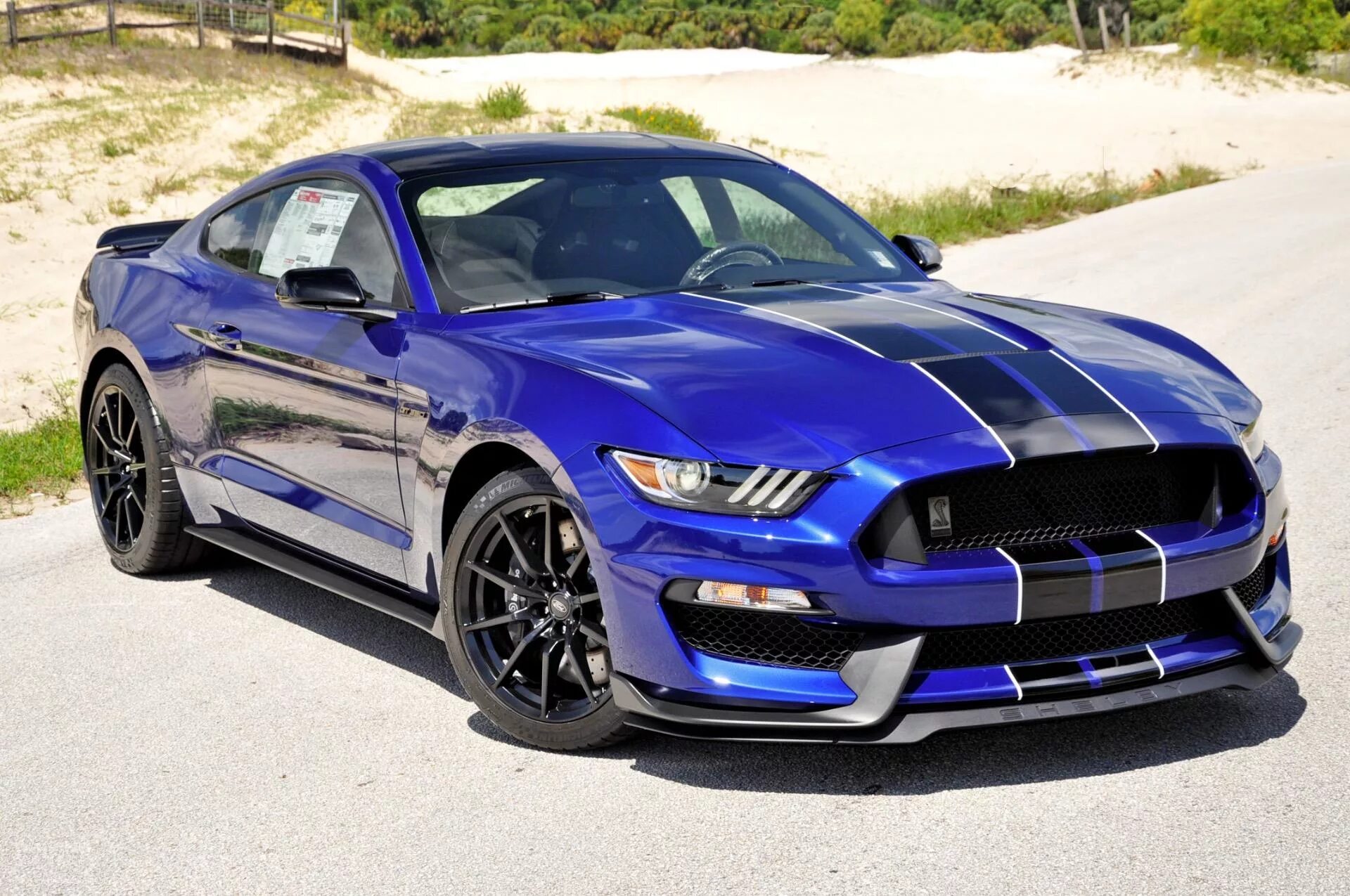 Мустанг цена. Ford Mustang gt 2015. Ford Mustang gt 350. Форд Мустанг Шелби 2015. Ford Mustang Shelby gt 2015.