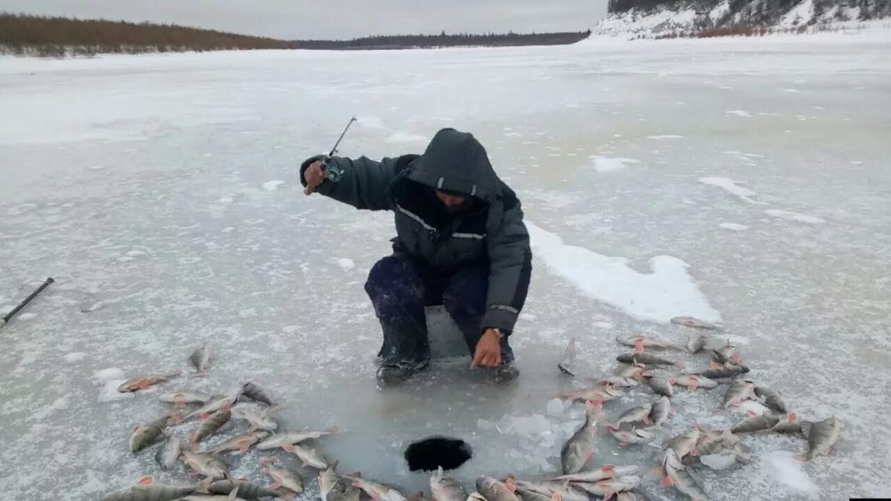 Рыбалка якутия 2021. Зимняя рыбалка на щуку в якутии. Зимняя рыбалка в якутти. Зимняя рыбалка в якутии. Рыбалка в якутии.