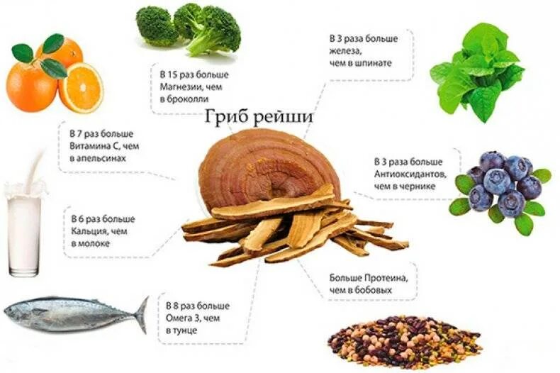 Рейши сколько. Гриб рейши. гриб рейши лр. гриб рейши полезные. гриб рейши полезные качества.