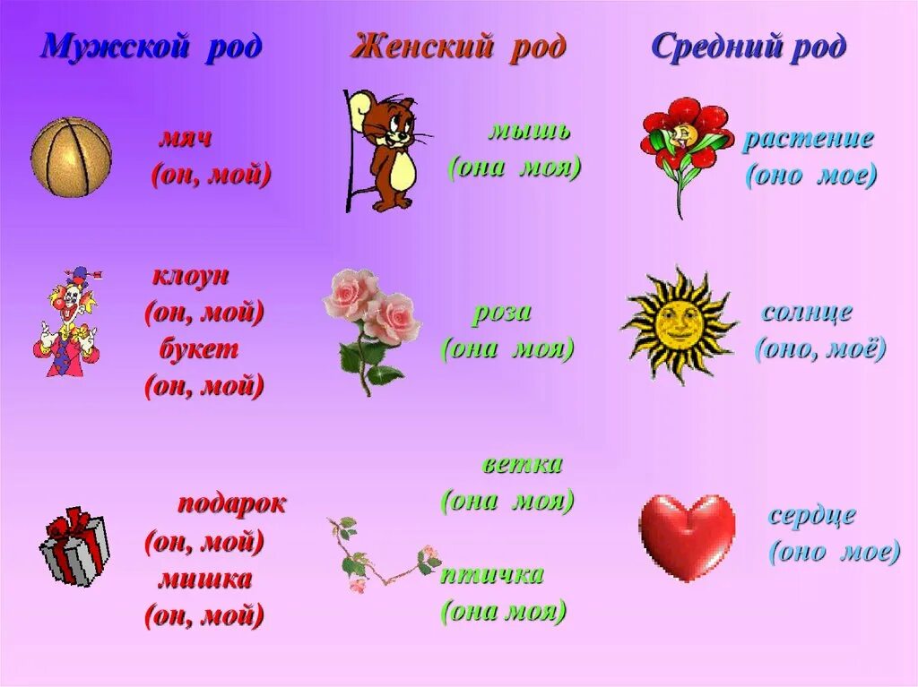 Розовый имя существительное. Женский род. Мужской женский средний род. Мужской род женский род средний род. Слова мужского женского и среднего рода.