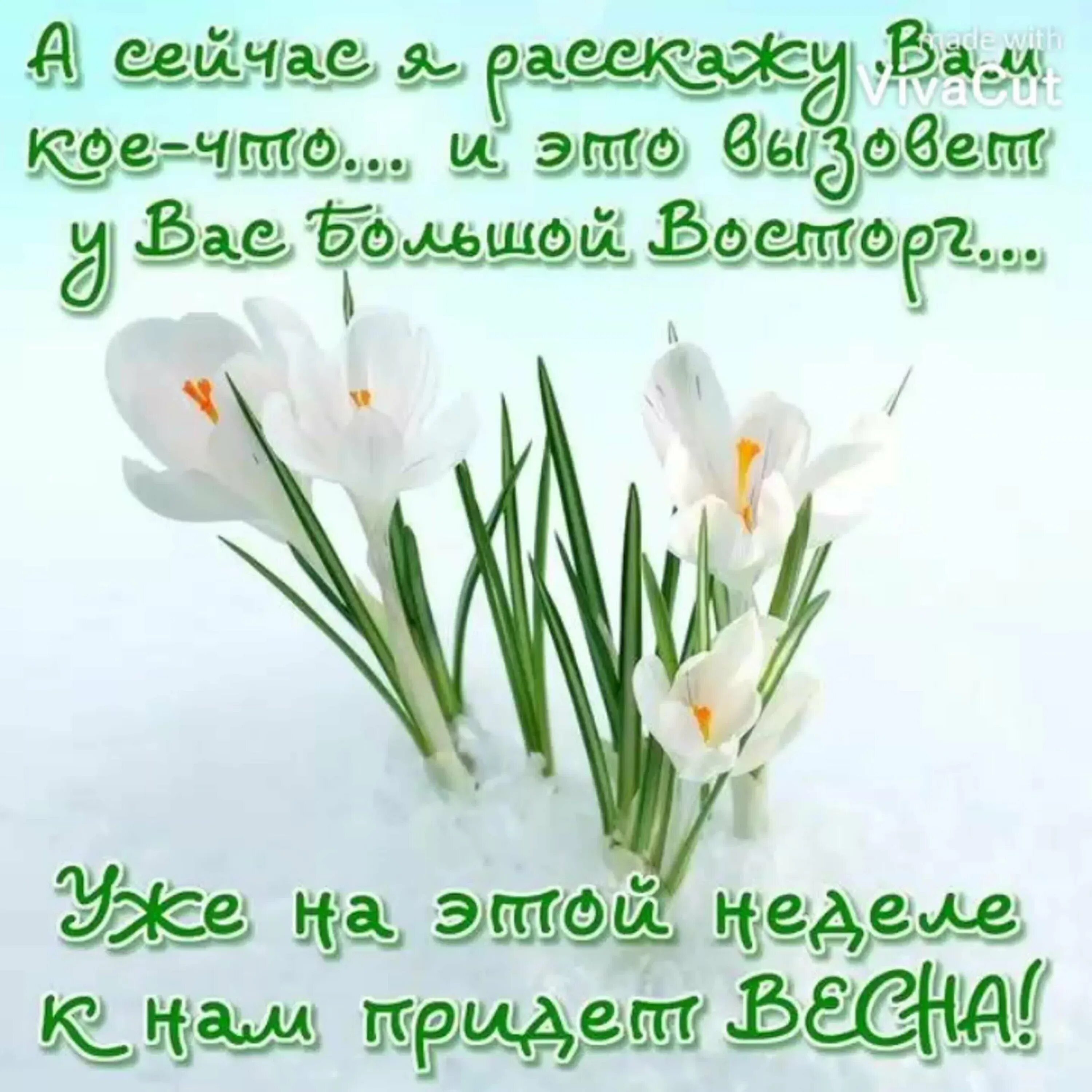 Суббота март картинки. Поздравление с весной. С первым днем весны поздравления. Открытки с весной.