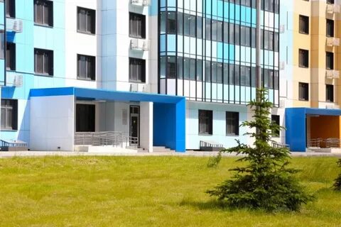Дмитровское 55