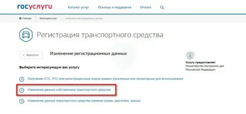 Авто подать заявление