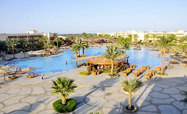 Desert rose 5. Отель desert rose 5 хургада. Desert rose 2024. Desert rose 2024. Отель десерт розе хургада дискотеки.