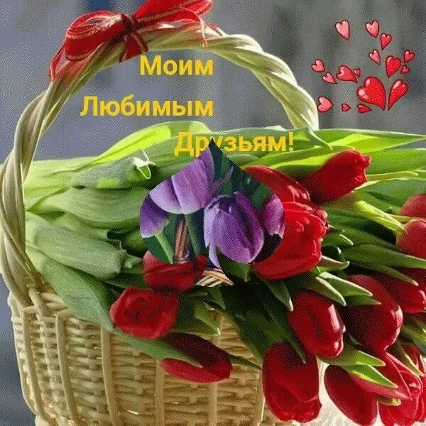 Пусть в каждом доме царят