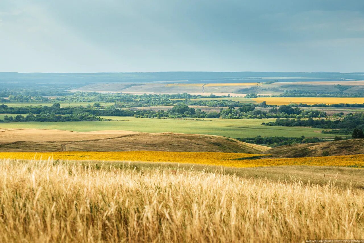 Село полудни Кинель-Черкасского района Самарской области. Кинель Самарская природа. Рощинский Самарская область пейзажи. Поверхность Самарской области 4. Полудни самарская область