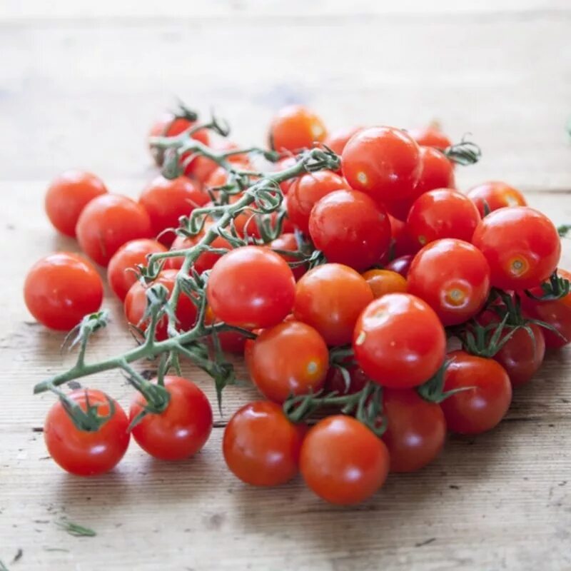 Tips for growing better tomatoes Jardim