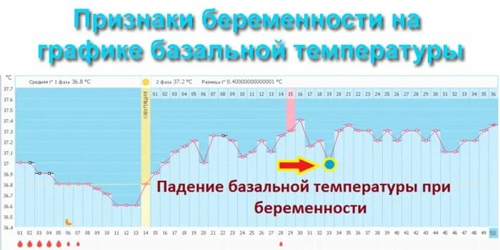 Температура 37 беременность 4